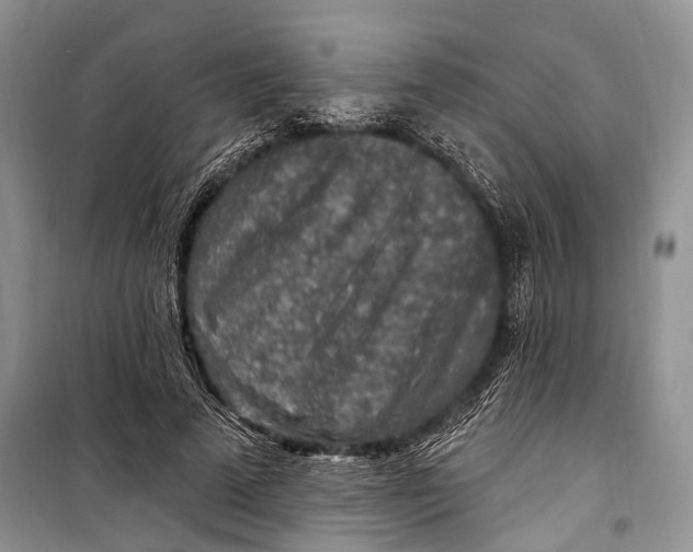 X0000098170689200805151117