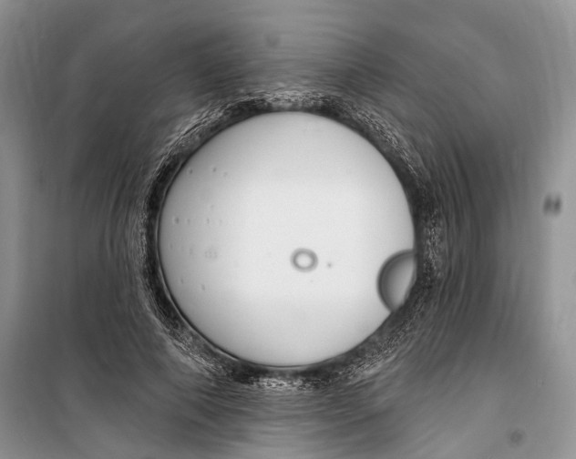 X0000098170690200805151117