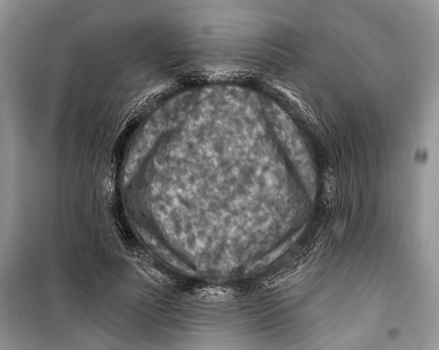 X0000098170691200805151117