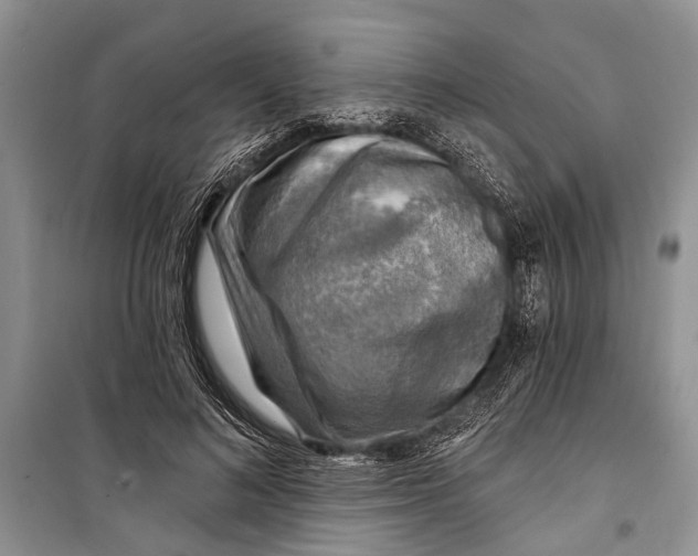 X0000098170692200805151117