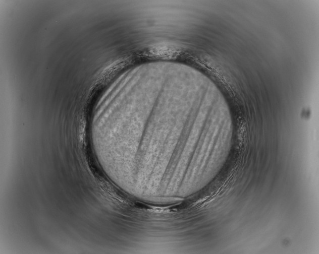 X0000098170693200805151117