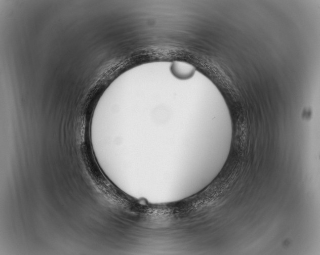 X0000098170694200805151117