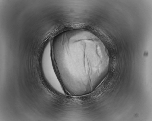 X0000098170696200805151117