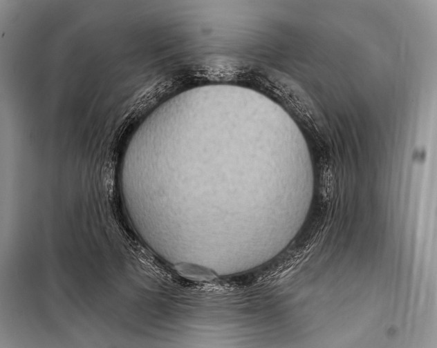 X0000098170697200805151117