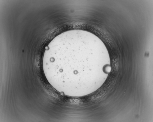 X0000098170698200805151117