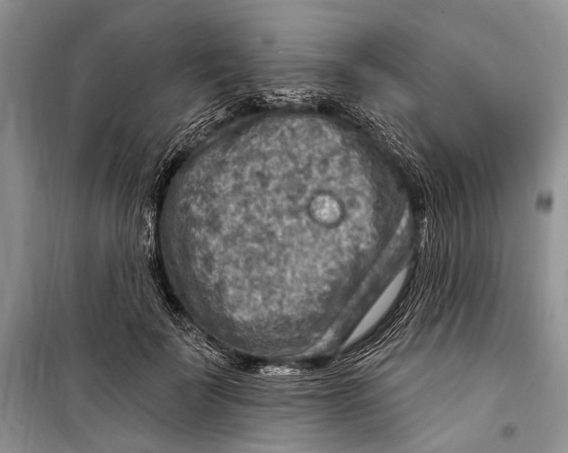 X0000098170699200805151117