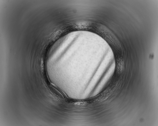 X0000098170700200805151117