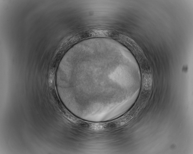 X0000098170701200805151117