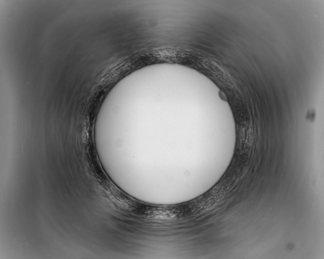 X0000098170702200805151117