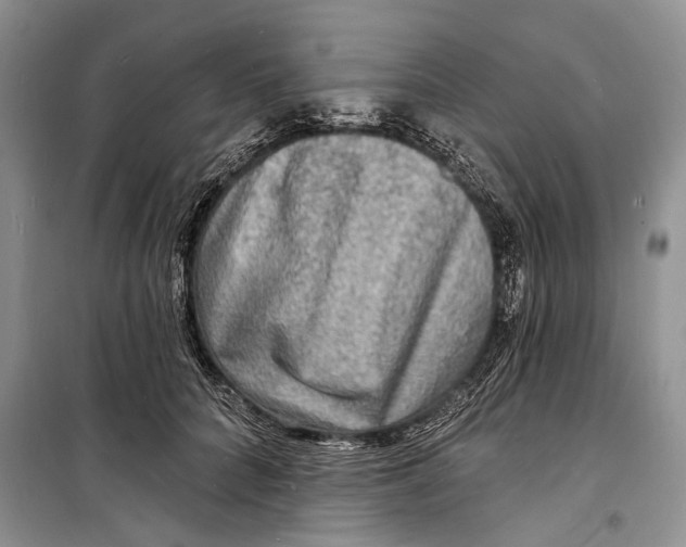 X0000098170704200805151117