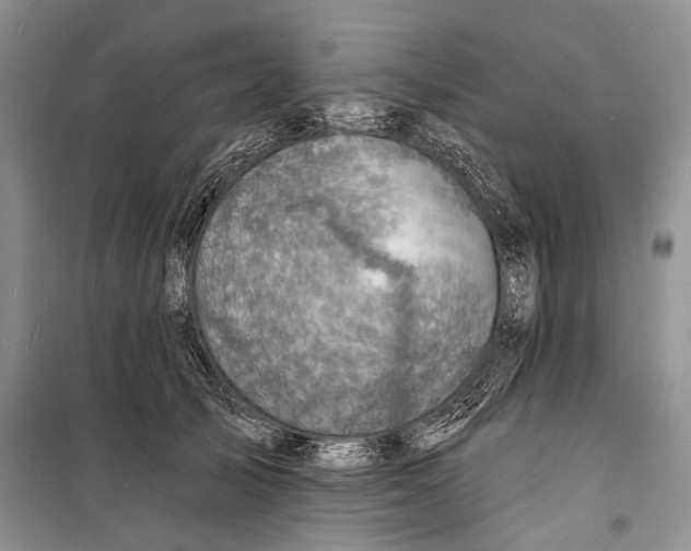 X0000098170705200805151117