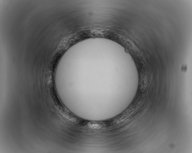 X0000098170706200805151117