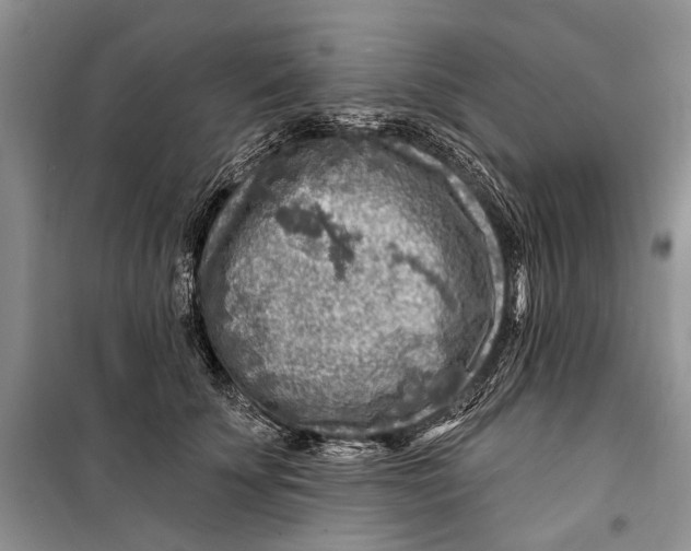 X0000098170707200805151117