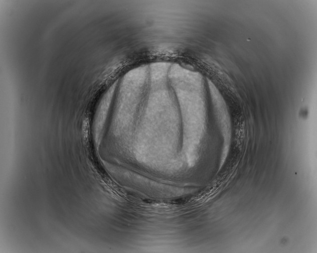 X0000098170708200805151117