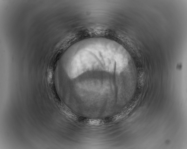 X0000098170709200805151117