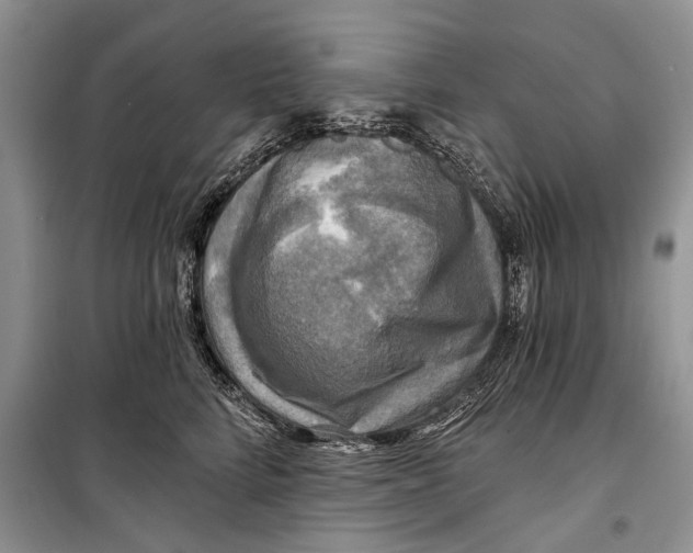 X0000098170712200805151116