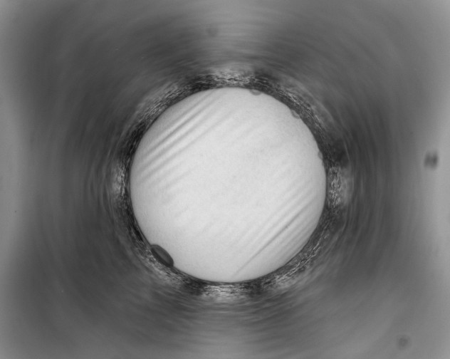 X0000098170713200805151116