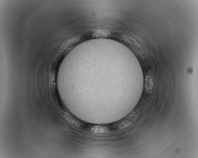 X0000098170714200805151116