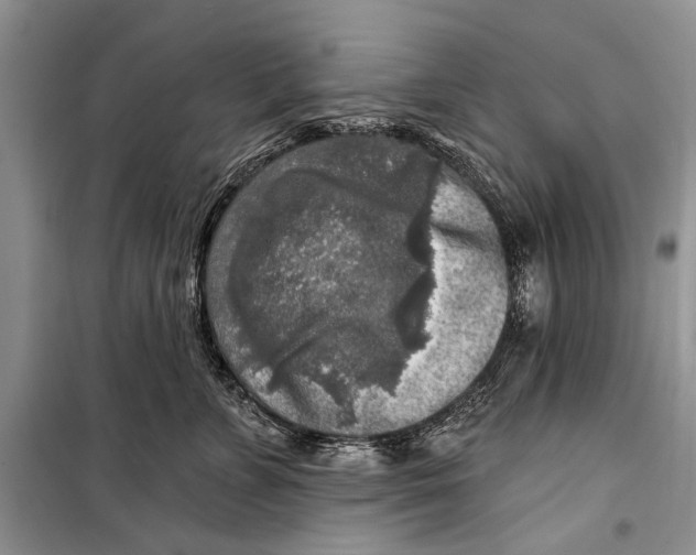 X0000098170715200805151116