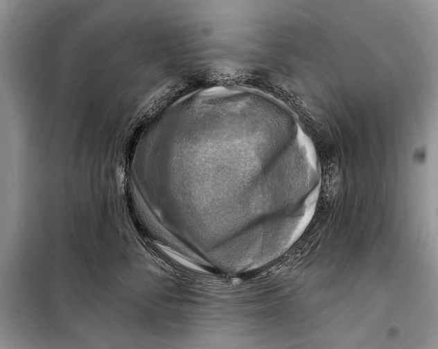 X0000098170716200805151116