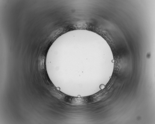 X0000098170717200805151116