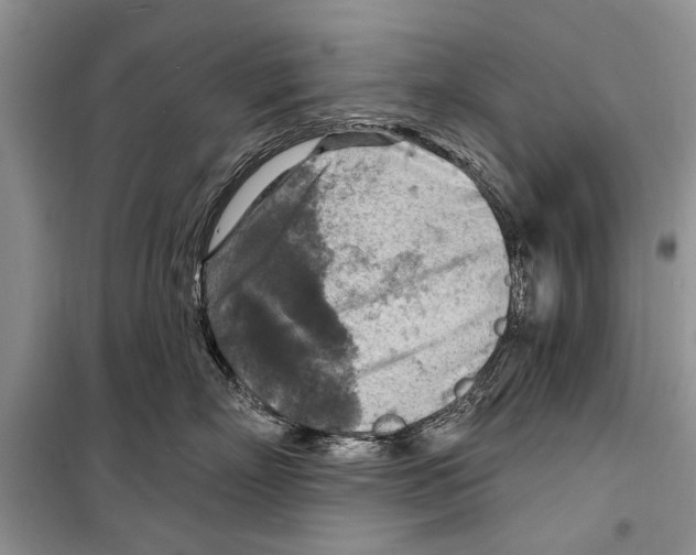 X0000098170718200805151116