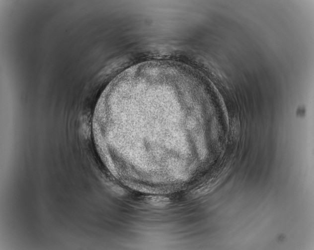 X0000098170719200805151116