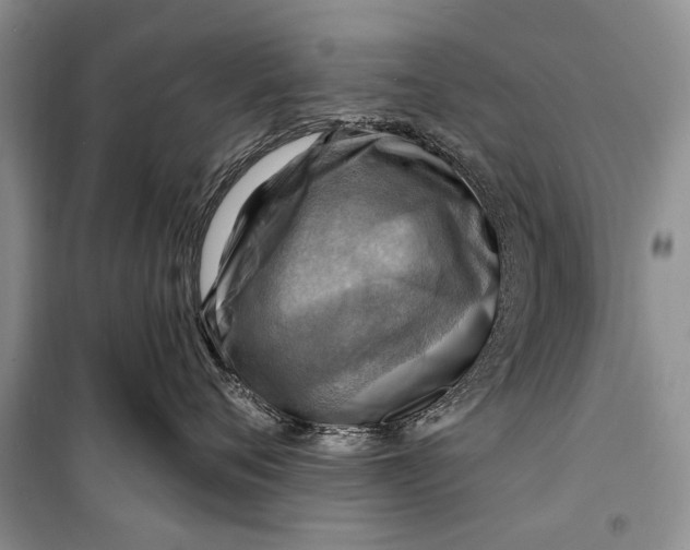 X0000098170720200805151116