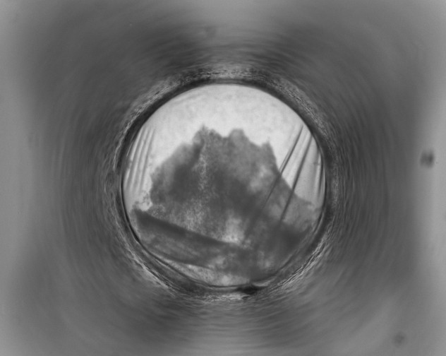 X0000098170721200805151116