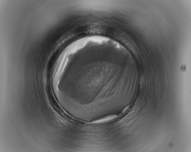 X0000098170722200805151116