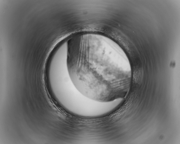 X0000098170724200805151116