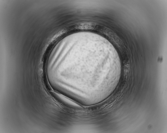 X0000098170727200805151116