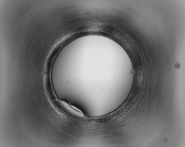 X0000098170728200805151116