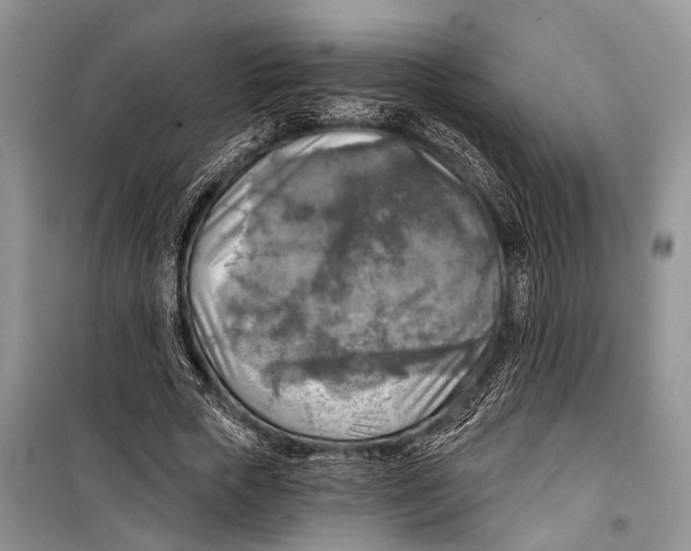 X0000098170729200805151116