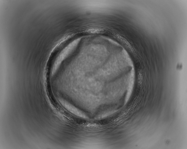 X0000098170730200805151116