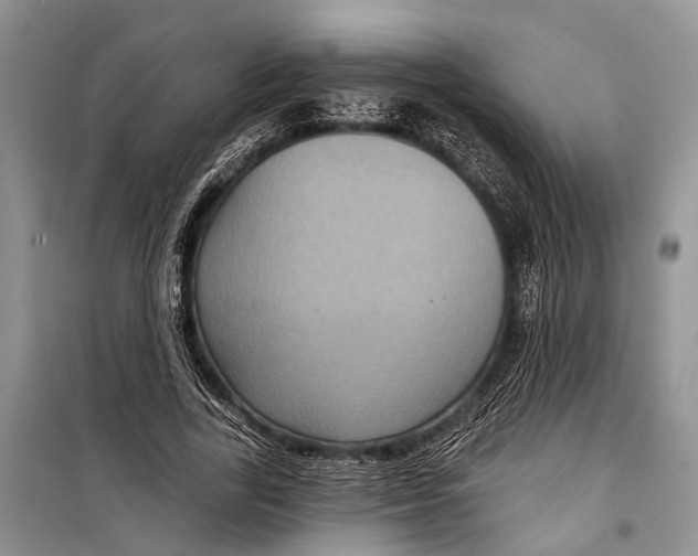 X0000098170731200805151116