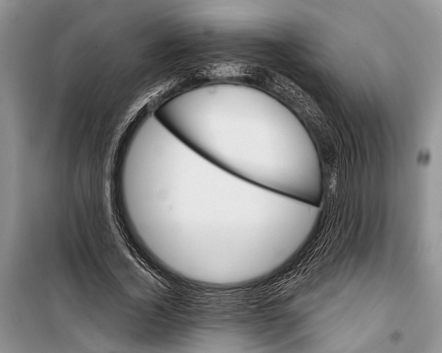 X0000098170732200805151116