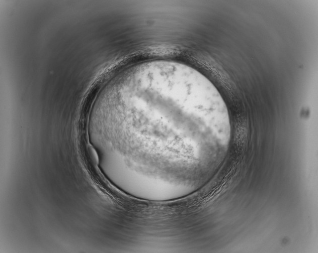 X0000098170736200805151116