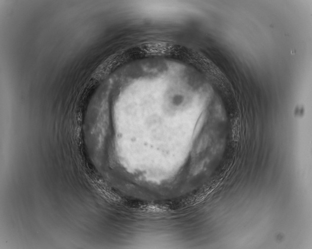 X0000098170737200805151116