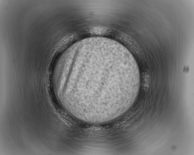 X0000098170738200805151116