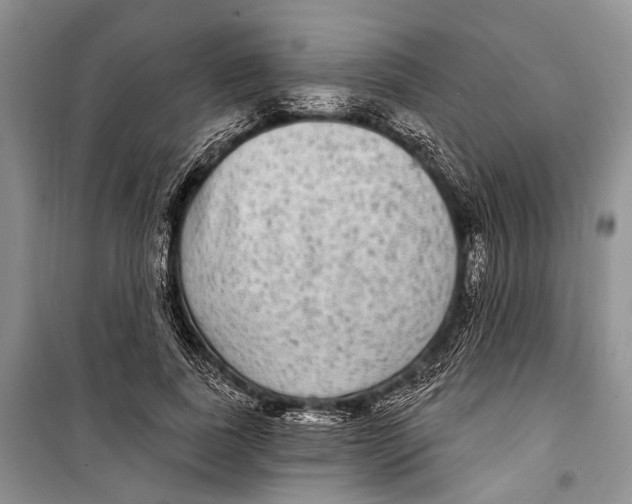 X0000098170739200805151116