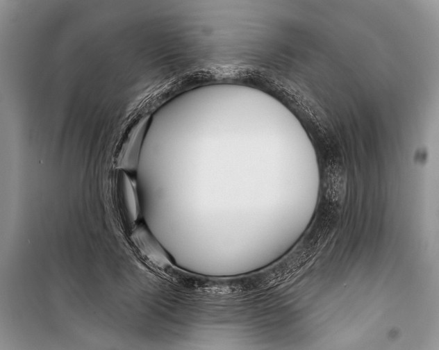 X0000098170740200805151116