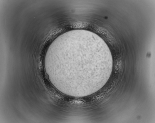 X0000098170743200805151116