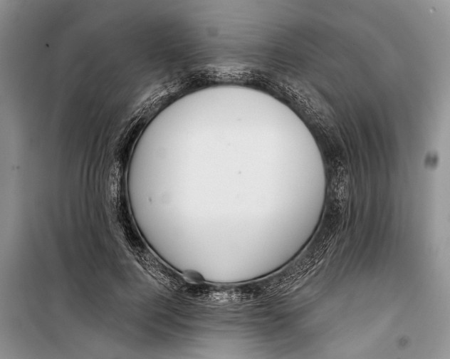 X0000098170744200805151116