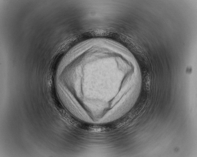 X0000098170746200805151116