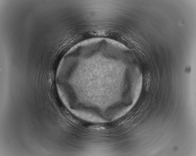 X0000098170747200805151116