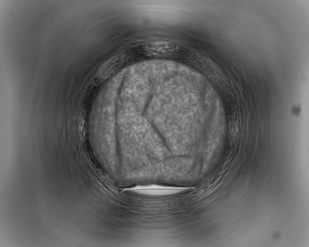 X0000098170749200805151116