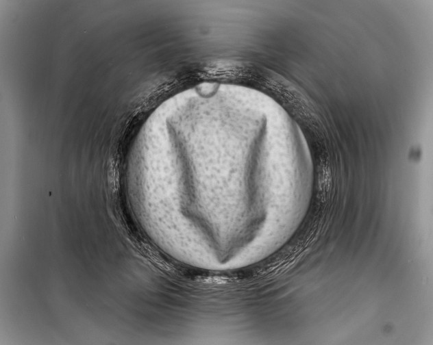 X0000098170751200805151116