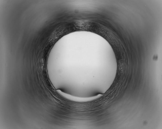 X0000098170752200805151116