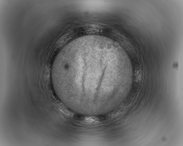 X0000098170753200805151116